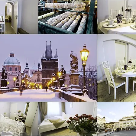 Under The Charles Bridge 3bdr Loft פראג